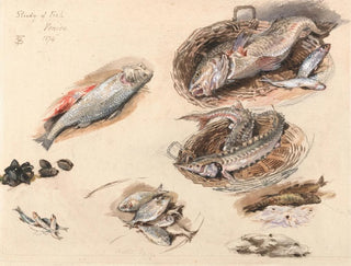 Myles Birket Foster - Study of Fish Venice.webp