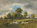 La Mare aux Viperes - Narcisse Virgile Diaz de la Peña — widok dzieła