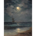 Reprodukcja obrazu Statek w świetle księżyca - Ivan Konstantinovich Aivazovsky