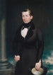 James Merrill Cook - Nelson Cook — widok dzieła