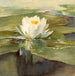 Nénuphar au soleil - John La Farge — widok dzieła