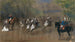 Parade - Nikolai Egorovich Sverchkov — widok dzieła