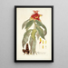 Alpinia comosa - Nikolaus Joseph Freiherr von Jacquin — oprawiony obraz na ścianie