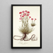 Dianthus sylvestris - Nikolaus Joseph Freiherr von Jacquin — oprawiony obraz na ścianie