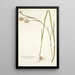 Gladiolus angustus - Nikolaus Joseph Freiherr von Jacquin — oprawiony obraz na ścianie