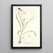 Gladiolus roseus - Nikolaus Joseph Freiherr von Jacquin — oprawiony obraz na ścianie