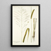 Panicum maximum - Nikolaus Joseph Freiherr von Jacquin — oprawiony obraz na ścianie