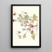 Pelargonium coriandrifolium - Nikolaus Joseph Freiherr von Jacquin — oprawiony obraz na ścianie