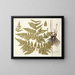 Polypodium multifidum - Nikolaus Joseph Freiherr von Jacquin — oprawiony obraz na ścianie