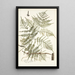 Pteris caudata - Nikolaus Joseph Freiherr von Jacquin — oprawiony obraz na ścianie
