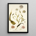 Tragopogon mutabilis - Nikolaus Joseph Freiherr von Jacquin — oprawiony obraz na ścianie