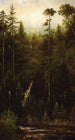 Krajobraz Kalifornii - Norton Bush — widok dzieła