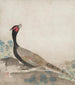 Pawiak - Ogata Kōrin — widok dzieła
