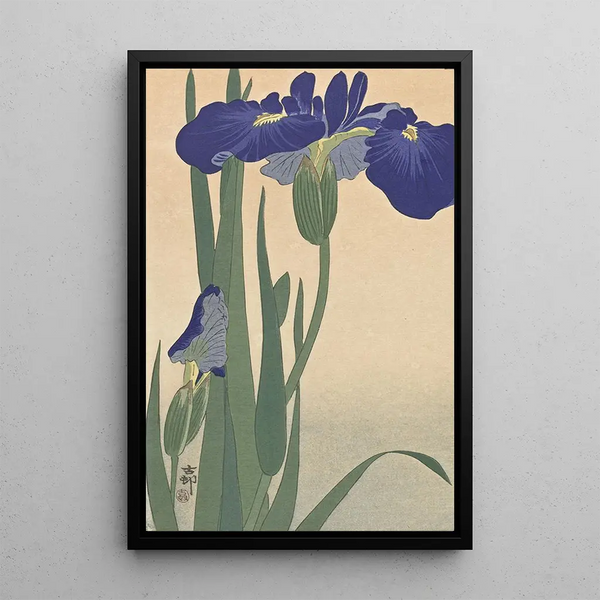 Irisów niebieskich - Ohara Koson — oprawiony obraz na ścianie