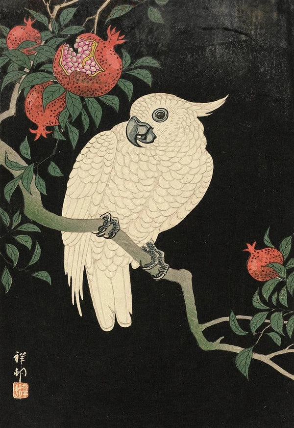 Cacatoès et grenade - Ohara Koson — oprawiony obraz na ścianie