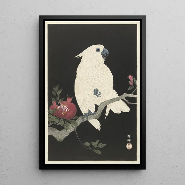 Cacatoès i granat - Ohara Koson — oprawiony obraz na ścianie