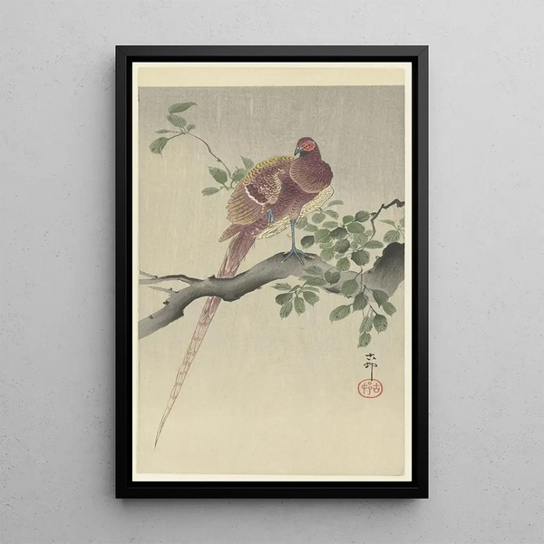 Pawiusz Cuivre - Ohara Koson — oprawiony obraz na ścianie