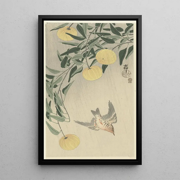 Coucou sous la pluie - Ohara Koson — oprawiony obraz na ścianie