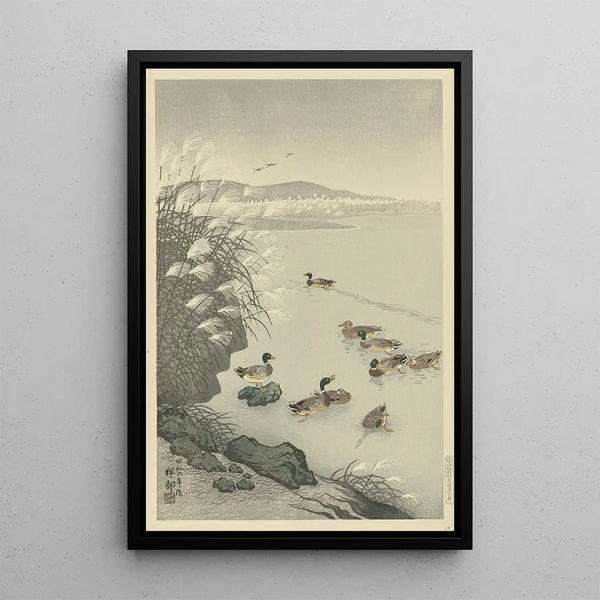 Kaczki na wodzie - Ohara Koson — oprawiony obraz na ścianie