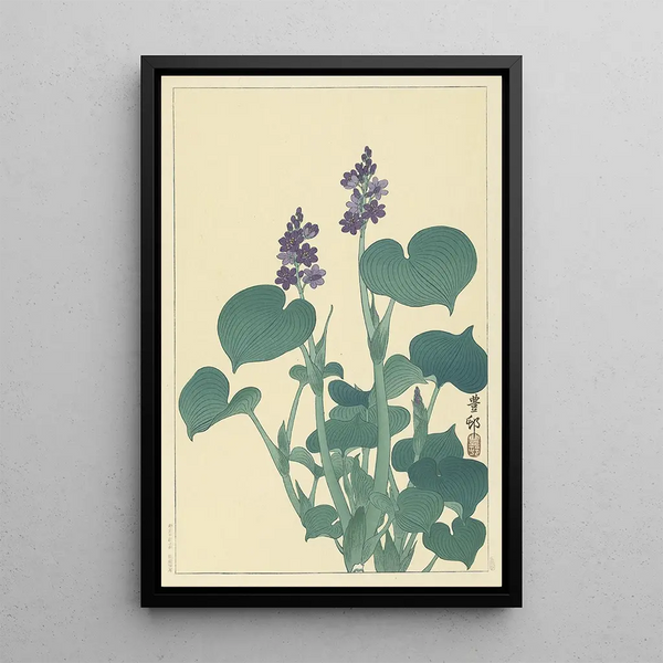 Hosta en fleur - Ohara Koson — oprawiony obraz na ścianie