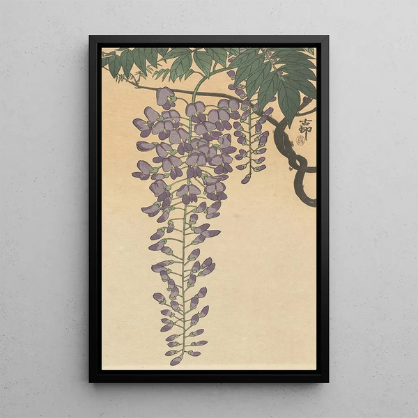 Glycine en fleur - Ohara Koson — oprawiony obraz na ścianie