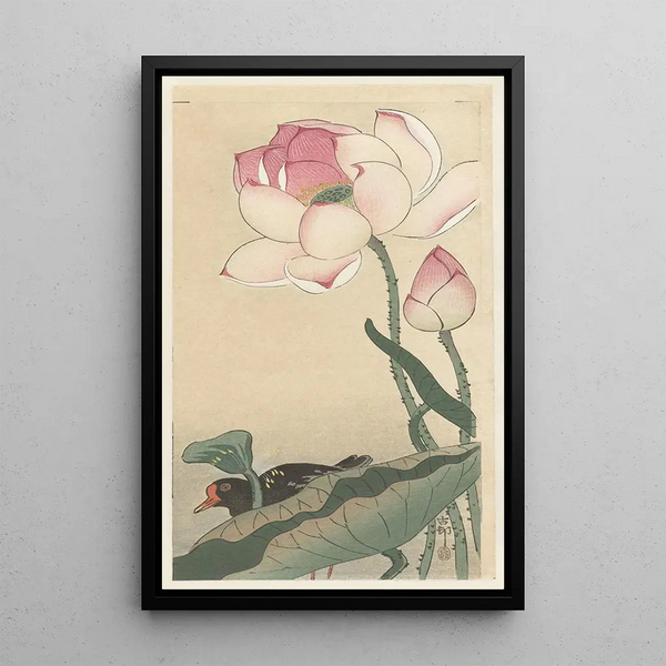 Gallinule z kwiatami lotosu - Ohara Koson — oprawiony obraz na ścianie