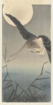 Oie - Ohara Koson — widok dzieła