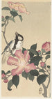 Mewa na gałęzi z różowymi kwiatami - Ohara Koson — widok dzieła