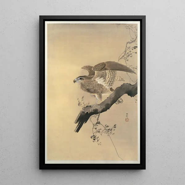 Faucon - Ohara Koson — oprawiony obraz na ścianie