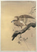 Faucon - Ohara Koson — widok dzieła