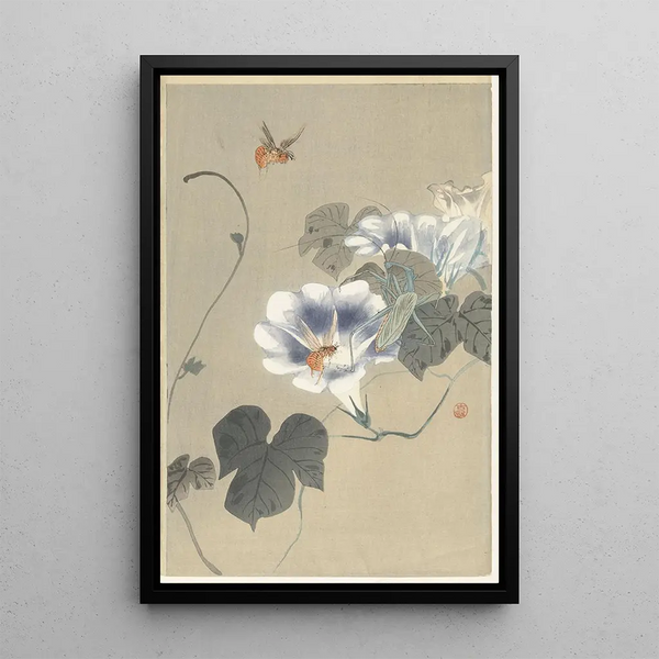 Insekty na powójce - Ohara Koson — oprawiony obraz na ścianie