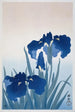 Iris - Ohara Koson — widok dzieła