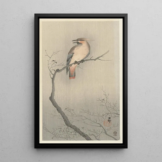 Ohara Koson - Japanese waxwing on branch.webp