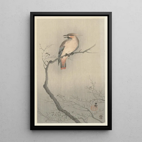 Jaseur du Japon sur branche - Ohara Koson — oprawiony obraz na ścianie