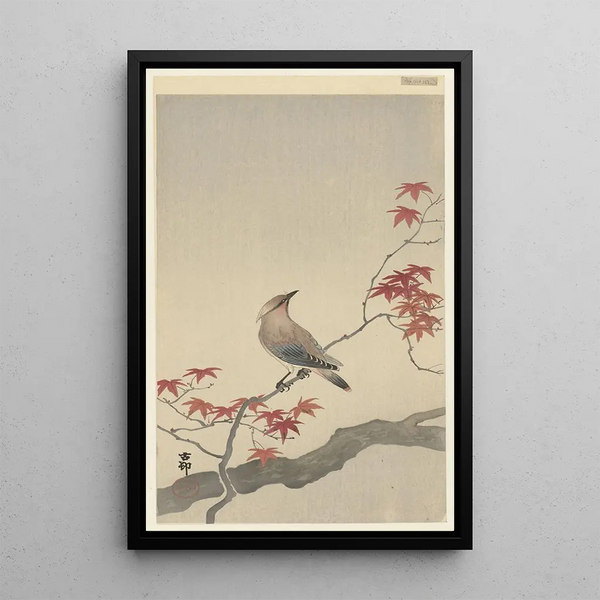 Jaseur du Japon sur érable - Ohara Koson — oprawiony obraz na ścianie