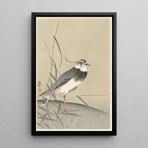 Vanneau et roseau - Ohara Koson — oprawiony obraz na ścianie