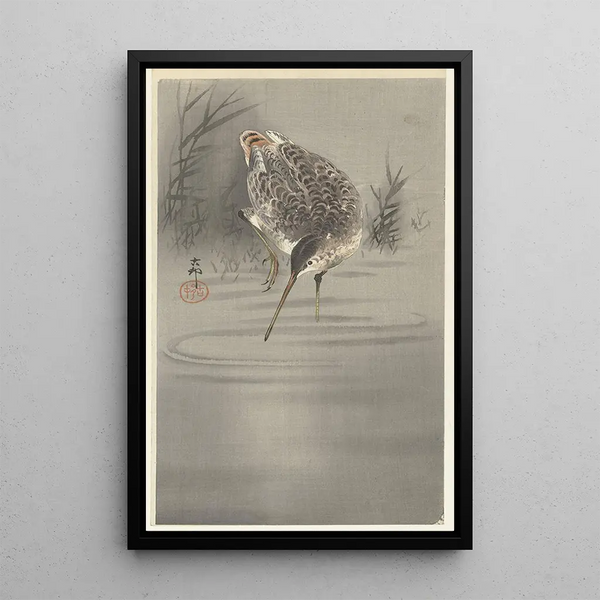 Bécassine dans l'eau - Ohara Koson — oprawiony obraz na ścianie