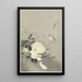 Hirondelle avec pivoine - Ohara Koson — oprawiony obraz na ścianie