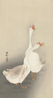 dwóch gęsi - Ohara Koson — widok dzieła