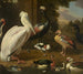 ptaków wodnych Melchior de Hondecoeter - Melchior d'Hondecoeter — widok dzieła