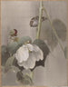 Mauves roses de coton sous la pluie - Okada Baison — widok dzieła