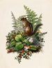 Tamia - Olive E. Whitney — widok dzieła