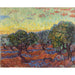 Reprodukcja obrazu Oliwne Drzewa, Saint-Rémy - Vincent van Gogh