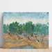 Reprodukcja obrazu Oliwne Drzewa - Vincent Van Gogh