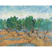 Reprodukcja obrazu Oliwne Drzewa - Vincent Van Gogh