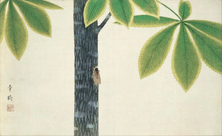 Omoda Seiju - Cicada.webp