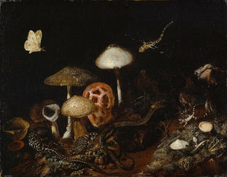 Otto Marseus van Schrieck - Reptiles Mushrooms and Butterflies.webp