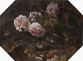 Paolo Porpora - Frogs Wild Roses Shells and Butterflies.webp