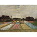 Reprodukcja obrazu Parterres de fleurs en Hollande - Vincent van Gogh