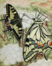 Le Machaon - Paul-André Robert — widok dzieła